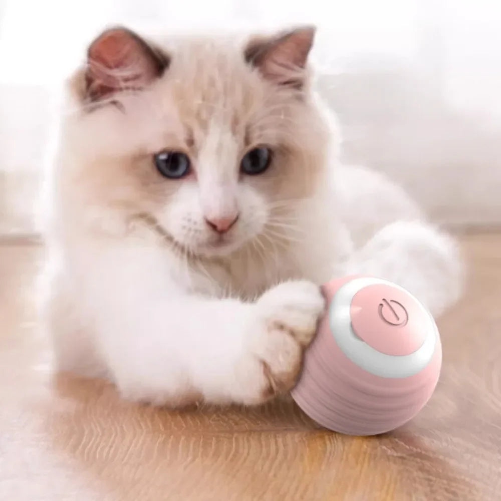 Smart Cat Rolling Ball Toys Rechargeable Cat Toys Ball Motion Ball Self-Moving Kitten Toys for Indoor Interactive Playing 고양이